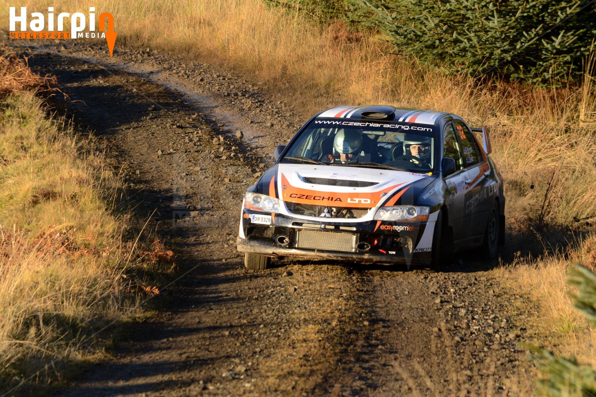Grizedale Stages Rally